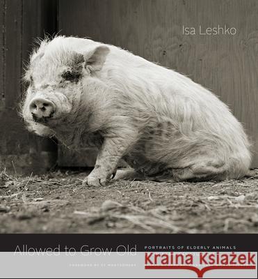 Allowed to Grow Old: Portraits of Elderly Animals from Farm Sanctuaries Isa Leshko Sy Montgomery Gene Baur 9780226391373 The University of Chicago Press