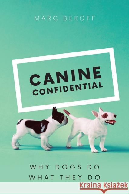 Canine Confidential: Why Dogs Do What They Do Marc Bekoff 9780226433035 The University of Chicago Press