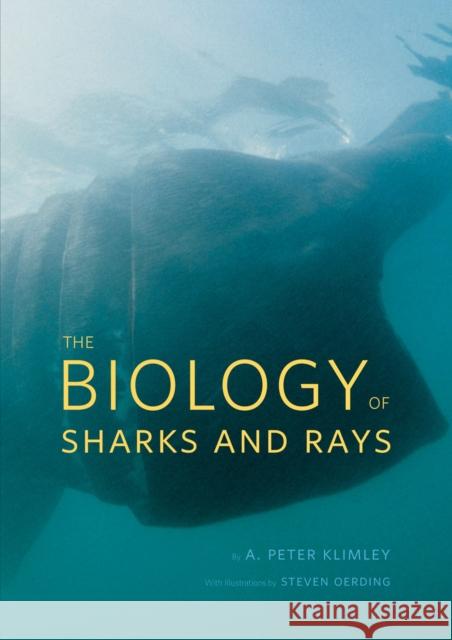 The Biology of Sharks and Rays A. Peter Klimley Steven Oerding 9780226442495 University of Chicago Press