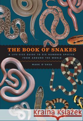 The Book of Snakes: A Life-Size Guide to Six Hundred Species from Around the World Mark O'Shea 9780226459394 University of Chicago Press