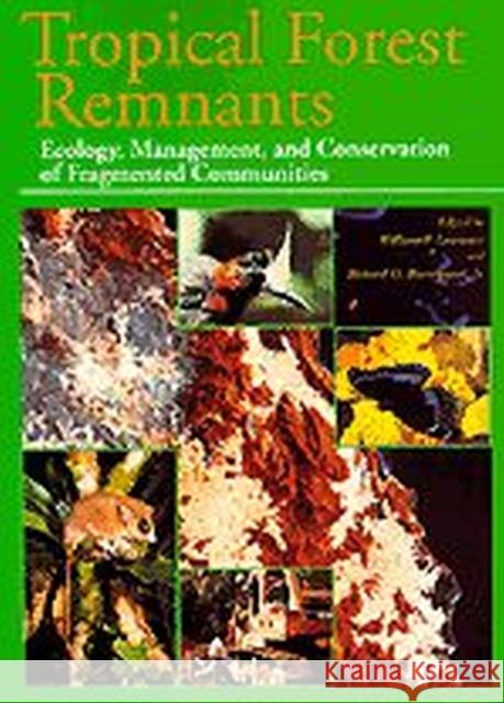 Tropical Forest Remnants: Ecology, Management, and Conservation of Fragmented Communities Laurance, William F. 9780226468990 University of Chicago Press