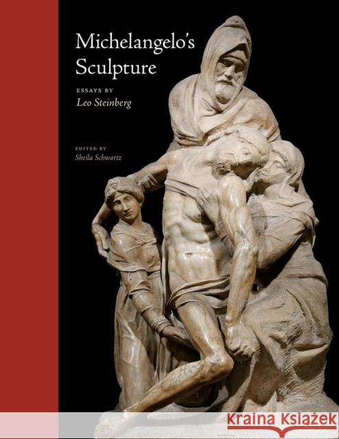 Michelangelo's Sculpture Leo Steinberg 9780226482576 The University of Chicago Press