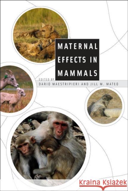Maternal Effects in Mammals Dario Maestripieri Jill M. Mateo 9780226501208 University of Chicago Press