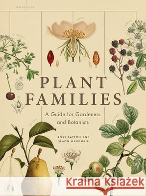 Plant Families: A Guide for Gardeners and Botanists Ross Bayton Simon Maughan 9780226523088