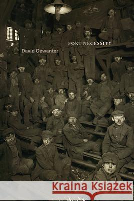 Fort Necessity David Gewanter 9780226533766 University of Chicago Press