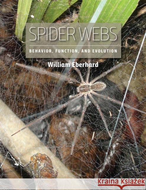 Spider Webs: Behavior, Function, and Evolution William Eberhard 9780226534602 University of Chicago Press