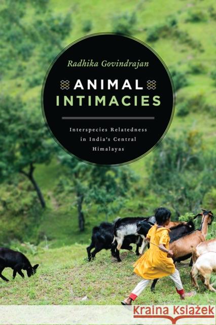 Animal Intimacies: Interspecies Relatedness in India's Central Himalayas Radhika Govindrajan 9780226559988 University of Chicago Press