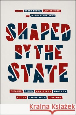Shaped by the State: Toward a New Political History of the Twentieth Century Brent Cebul Lily Geismer Mason B. Williams 9780226596327