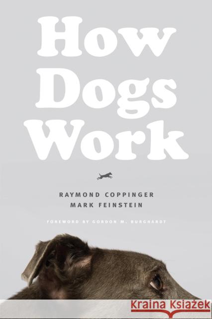 How Dogs Work Coppinger Raymond 9780226637761