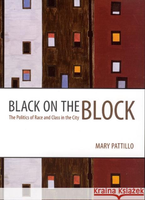 Black on the Block: The Politics of Race and Class in the City Pattillo, Mary 9780226649320 University of Chicago Press