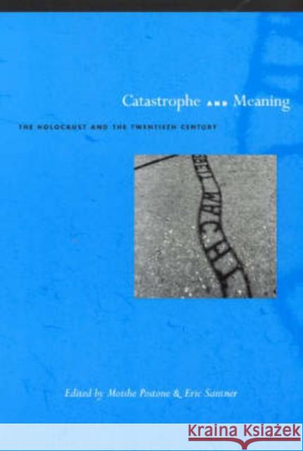 Catastrophe and Meaning: The Holocaust and the Twentieth Century Postone, Moishe 9780226676111 University of Chicago Press