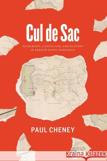 Cul de Sac: Patrimony, Capitalism, and Slavery in French Saint-Domingue Cheney, Paul 9780226679259 