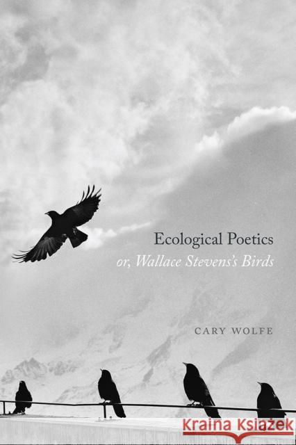 Ecological Poetics; Or, Wallace Stevens's Birds Cary Wolfe 9780226687971 University of Chicago Press