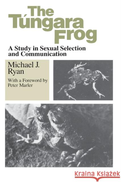 The Tungara Frog: A Study in Sexual Selection and Communication Ryan, Michael J. 9780226732299 University of Chicago Press