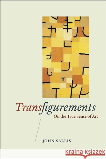 Transfigurements: On the True Sense of Art Sallis, John 9780226734187