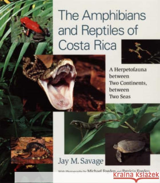 The Amphibians and Reptiles of Costa Rica: A Herpetofauna Between Two Continents, Between Two Seas Savage, Jay M. 9780226735382 University of Chicago Press