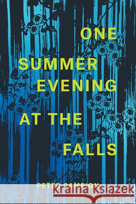 One Summer Evening at the Falls Peter Campion 9780226737119 University of Chicago Press