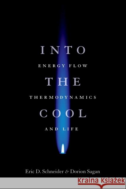 Into the Cool: Energy Flow, Thermodynamics, and Life Schneider, Eric D. 9780226739373