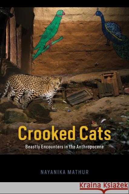Crooked Cats: Beastly Encounters in the Anthropocene Nayanika Mathur 9780226771922 University of Chicago Press