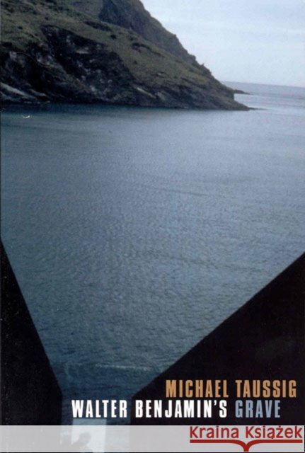 Walter Benjamin's Grave Michael Taussig 9780226790046