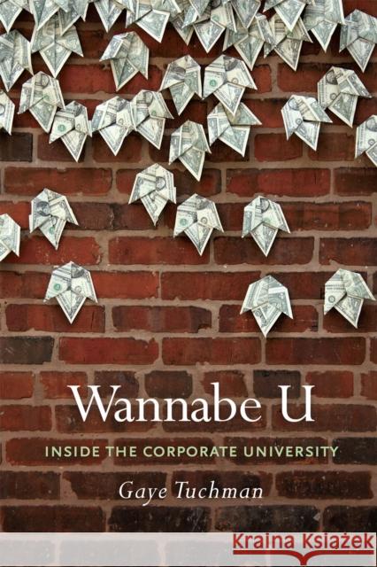 Wannabe U: Inside the Corporate University Tuchman, Gaye 9780226815305 University of Chicago Press