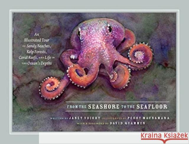 From the Seashore to the Seafloor Janet Voight 9780226817668 The University of Chicago Press