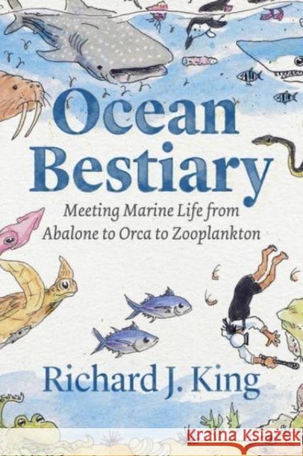 Ocean Bestiary: Meeting Marine Life from Abalone to Orca to Zooplankton King, Richard J. 9780226818030