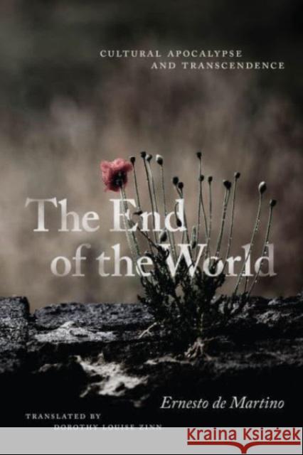 The End of the World Ernesto de Martino 9780226820552 The University of Chicago Press