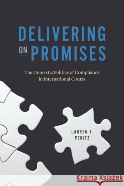 Delivering on Promises: The Domestic Politics of Compliance in International Courts Peritz, Lauren J. 9780226822136 CHICAGO UNIVERSITY PRESS