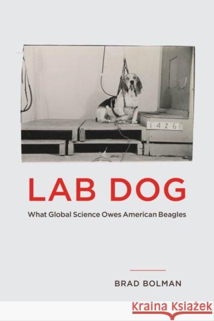 Lab Dog: What Global Science Owes American Beagles Brad Bolman 9780226825533 The University of Chicago Press