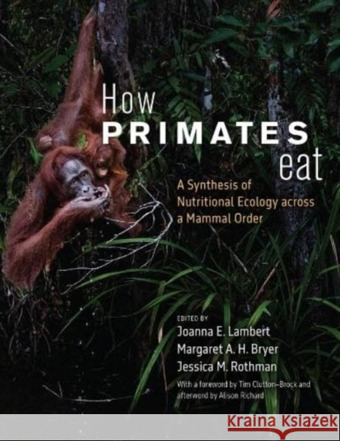 How Primates Eat: A Synthesis of Nutritional Ecology across a Mammal Order  9780226829739 The University of Chicago Press