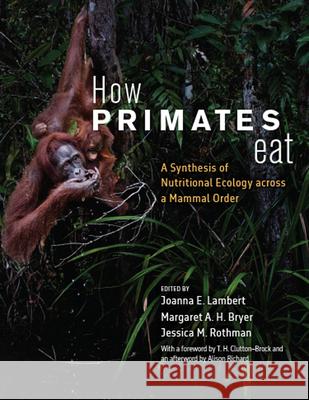 How Primates Eat: A Synthesis of Nutritional Ecology across a Mammal Order  9780226829753 The University of Chicago Press