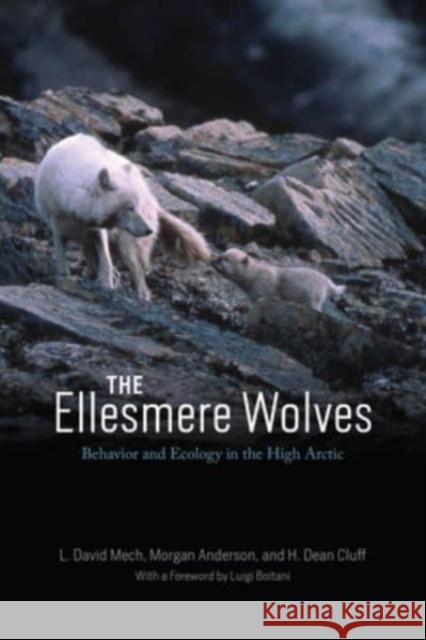 The Ellesmere Wolves: Behavior and Ecology in the High Arctic L. David Mech Morgan Anderson H. Dean Cluff 9780226833743 University of Chicago Press