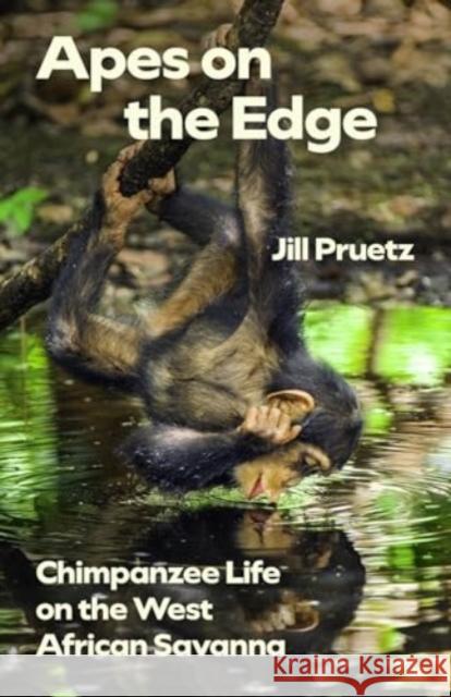 Apes on the Edge: Chimpanzee Life on the West African Savanna Jill D. E. Pruetz 9780226837512