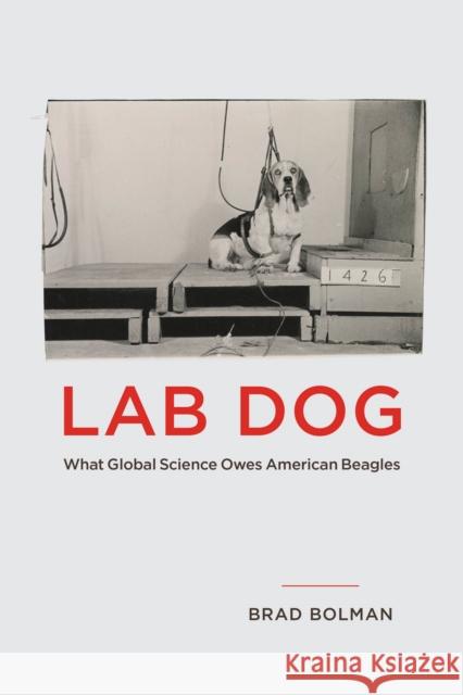 Lab Dog: What Global Science Owes American Beagles Brad Bolman 9780226839745 University of Chicago Press