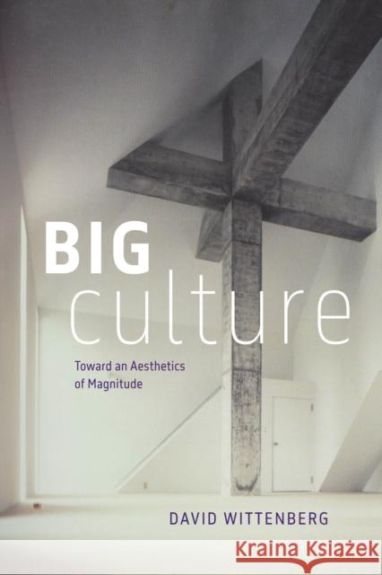 Big Culture: Toward an Aesthetics of Magnitude David Wittenberg 9780226842929