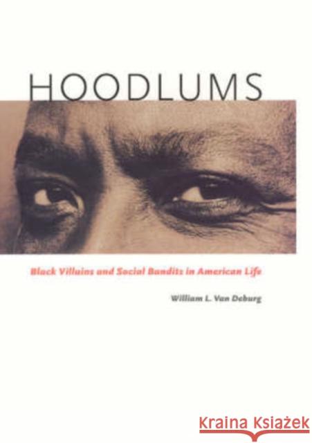 Hoodlums: Black Villains and Social Bandits in American Life William L. Va 9780226847191 University of Chicago Press