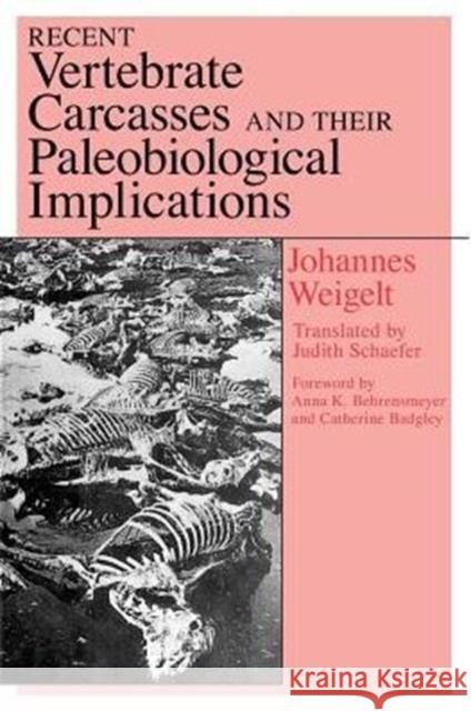 Recent Vertebrate Carcasses and Their Paleobiological Implications Johannes Weigelt Judith Schaefer Catherine Badgley 9780226881676 