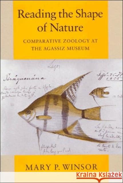 Reading the Shape of Nature: Comparative Zoology at the Agassiz Museum Winsor, Mary P. 9780226902159 University of Chicago Press