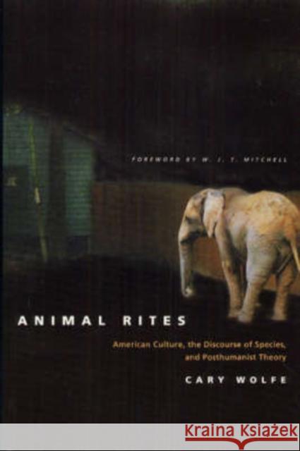 Animal Rites : American Culture, the Discourse of Species, and Posthumanist Theory University of Chicago Press              Cary Wolfe 9780226905143 