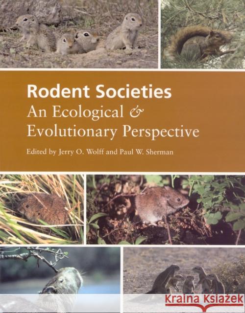 Rodent Societies: An Ecological & Evolutionary Perspective Jerry O. Wolff Paul W. Sherman 9780226905372 University of Chicago Press
