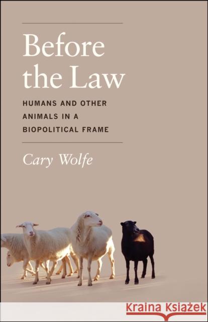 Before the Law: Humans and Other Animals in a Biopolitical Frame Wolfe, Cary 9780226922409 University of Chicago Press