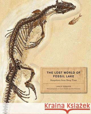 The Lost World of Fossil Lake: Snapshots from Deep Time Grande, Lance 9780226922966 University of Chicago Press