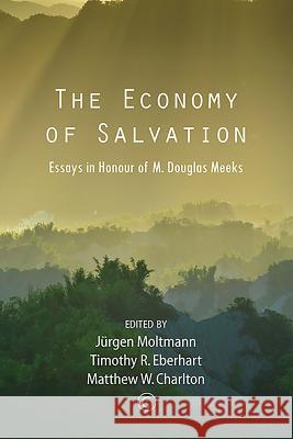The Economy of Salvation: Essays in Honour of M. Douglas Meeks Jurgen Moltmann Timothy R. Eberhart Matthew Charlton 9780227175859 James Clarke Company