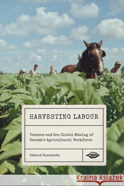 Harvesting Labour: Tobacco and the Global Making of Canada's Agricultural Workforce Edward Dunsworth 9780228011248 McGill-Queen's University Press