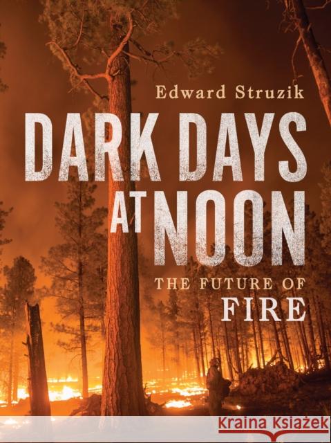 Dark Days at Noon: The Future of Fire Edward Struzik 9780228012092