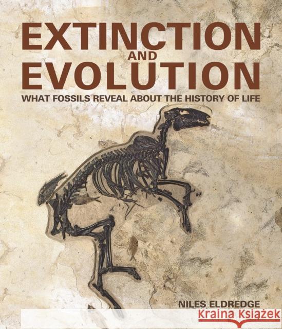 Extinction and Evolution: What Fossils Reveal about the History of Life Niles Eldredge Carl Zimmer 9780228101871 Firefly Books
