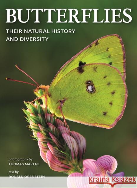 Butterflies: Their Natural History and Diversity Ronald Orenstein Thomas Marent 9780228102496 Firefly Books