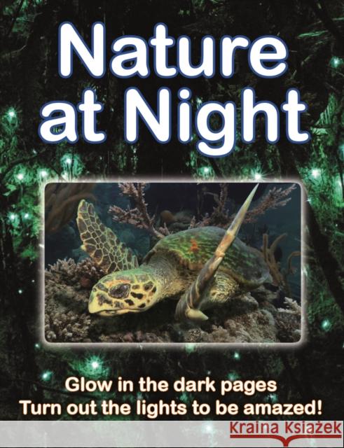 Nature at Night Lisa Regan 9780228102540 Firefly Books