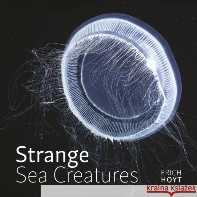 Strange Sea Creatures Erich Hoyt 9780228102977 Firefly Books